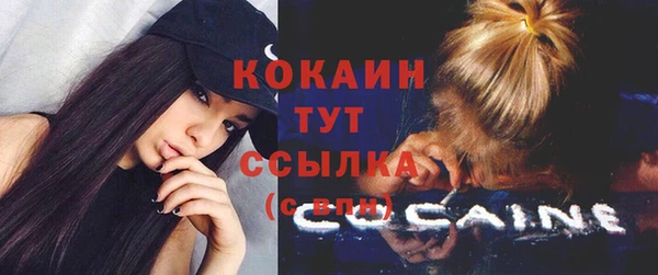 мдпв Нея