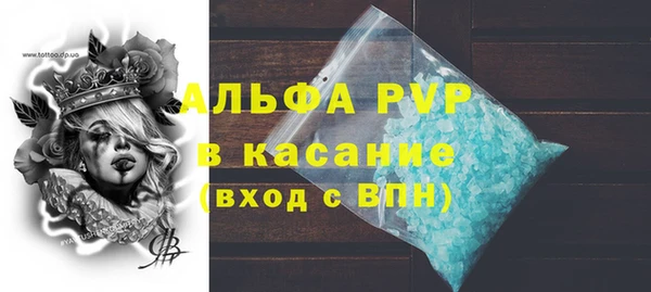 прущие грибы Наволоки