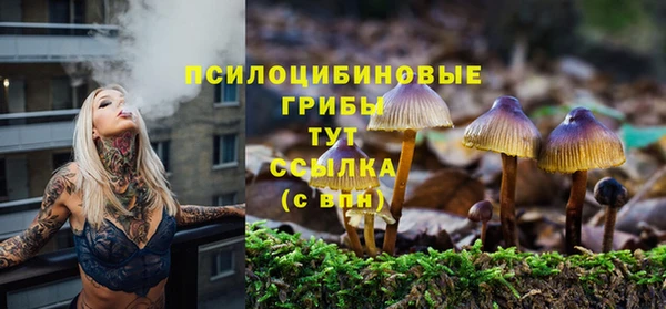 прущие грибы Надым