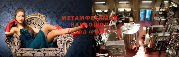 прущие грибы Наволоки