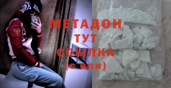 прущие грибы Наволоки