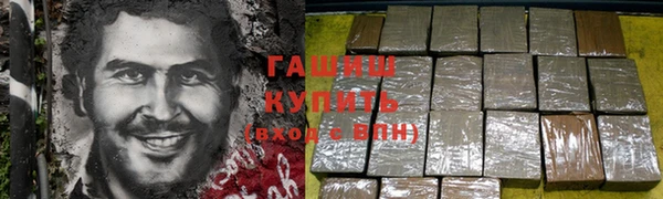 прущие грибы Наволоки