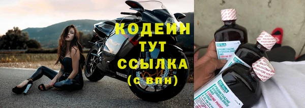 прущие грибы Надым