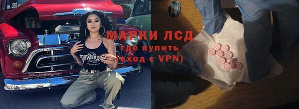 гашик Нефтекумск