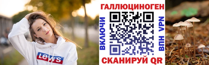 где найти наркотики  Кедровый  Галлюциногенные грибы GOLDEN TEACHER 